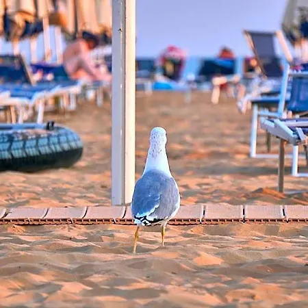 Completely Renewed Near The 3* Bibione